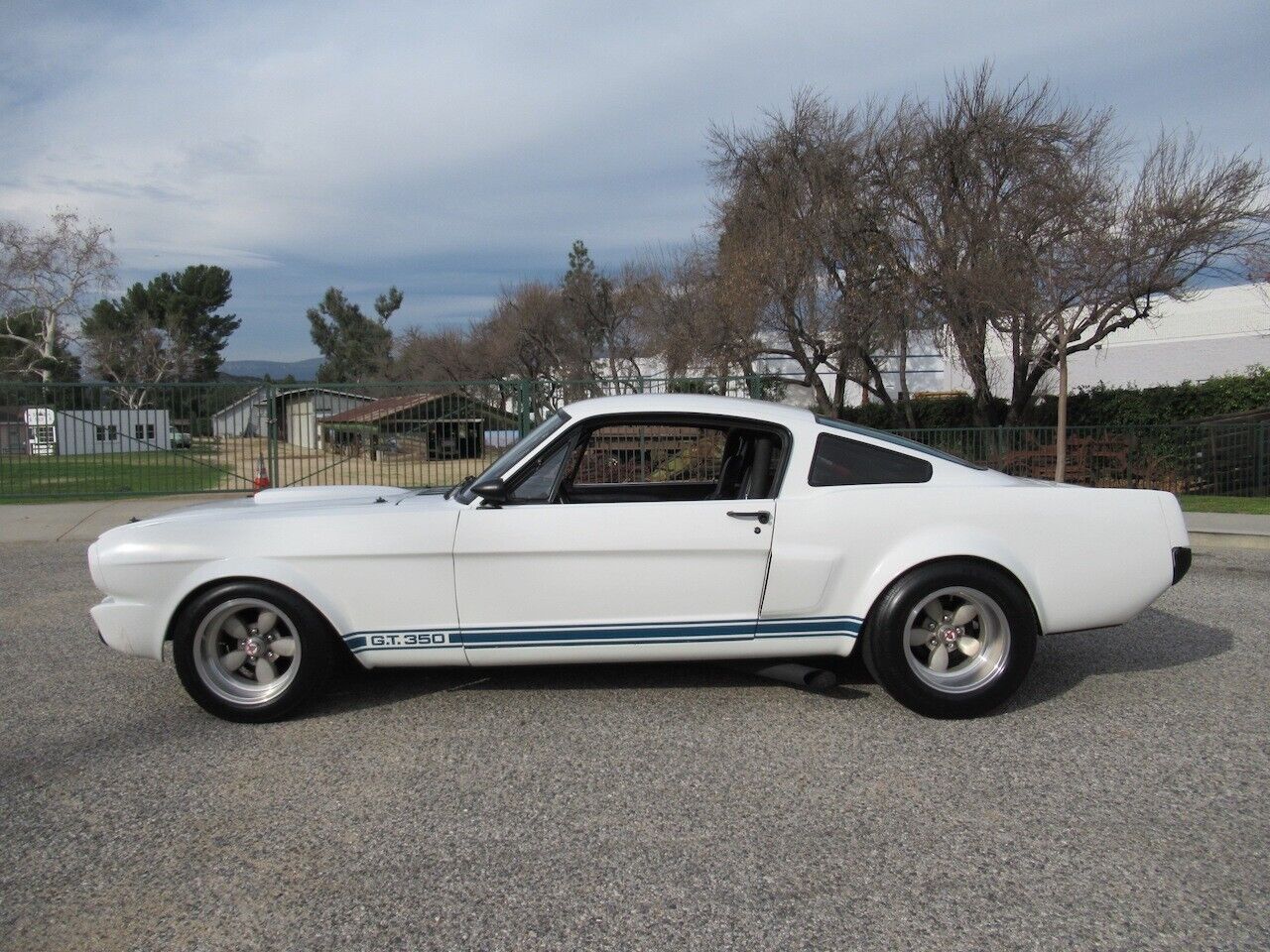 Shelby-Mustang-Coupe-1966-1