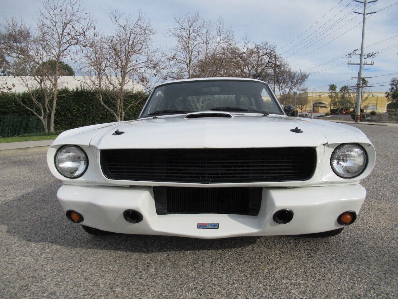 Shelby-Mustang-Coupe-1966-2