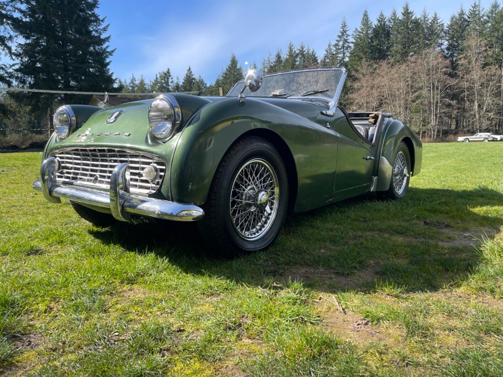 Triumph-Other-Cabriolet-1959-2