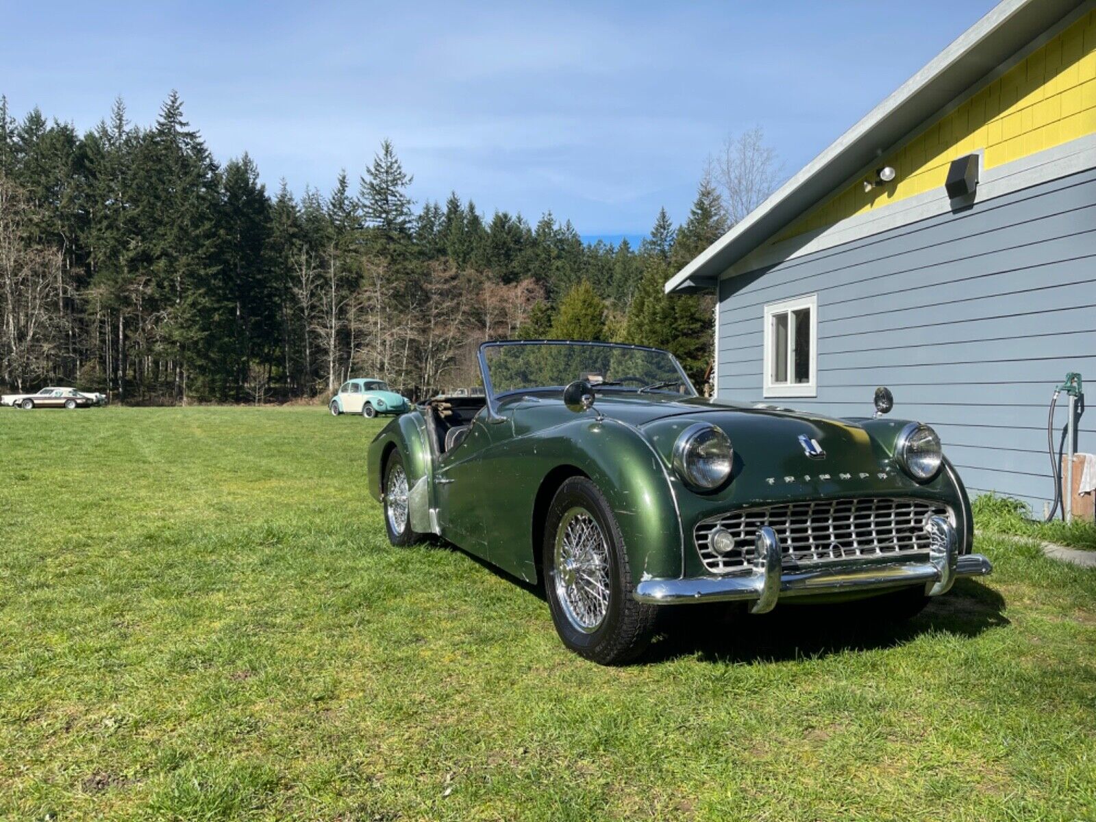 Triumph-Other-Cabriolet-1959-5