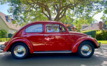 Volkswagen-Beetle-1963-10