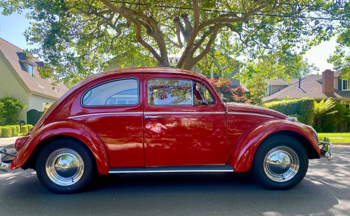 Volkswagen-Beetle-1963-10