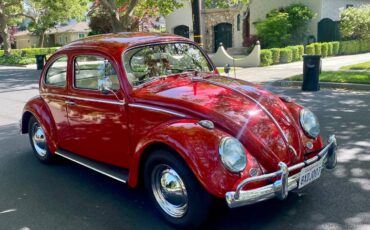 Volkswagen-Beetle-1963-12