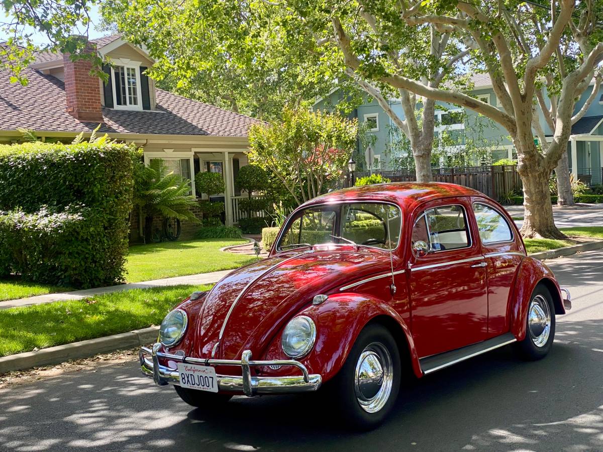 Volkswagen-Beetle-1963-13