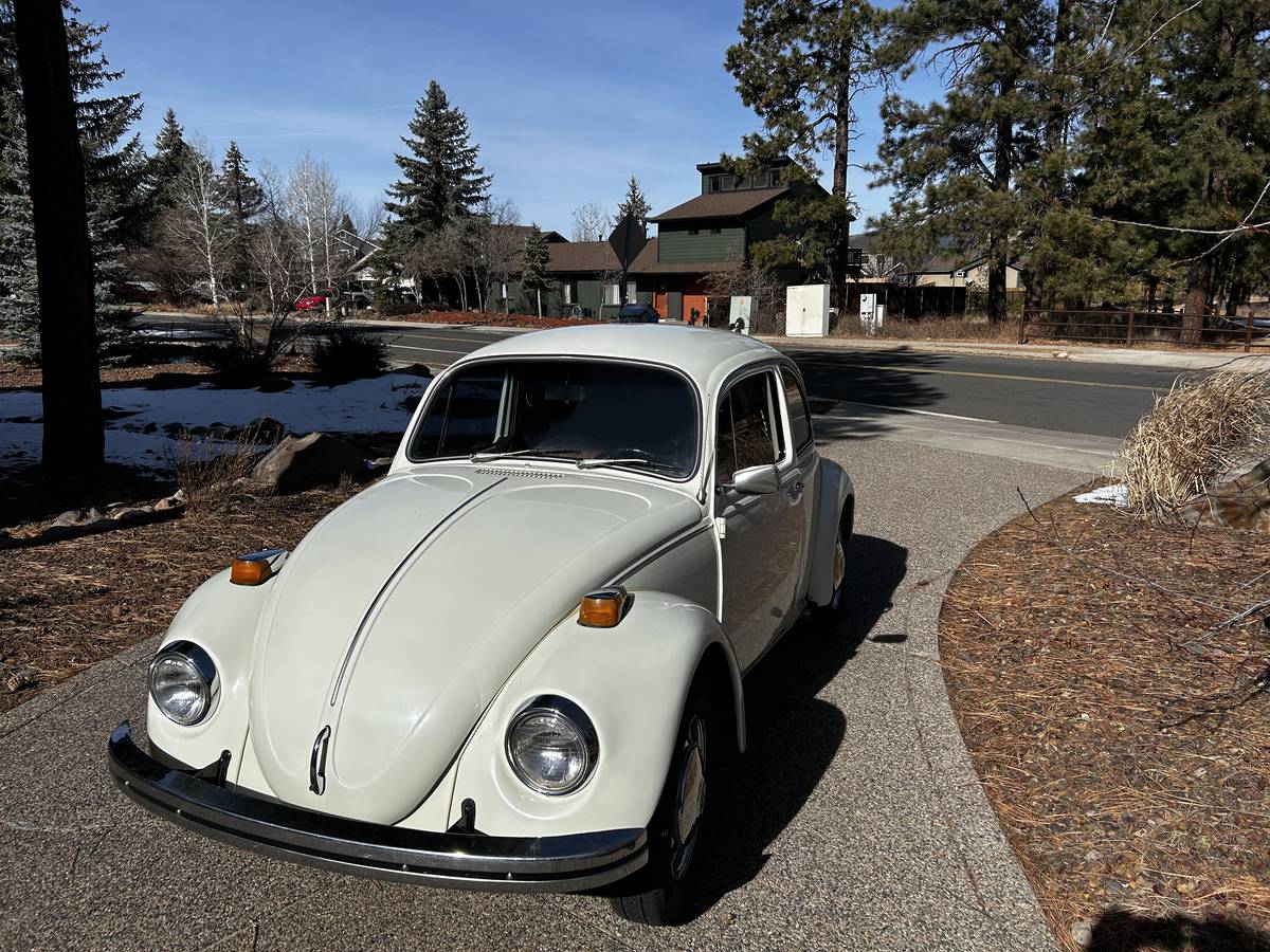 Volkswagen-Beetle-1970-12