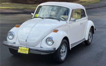 Volkswagen-Beetle-Cabriolet-1977-10