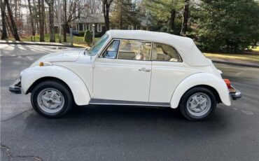 Volkswagen-Beetle-Cabriolet-1977-11