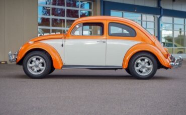 Volkswagen-Beetle-Classic-1963-8