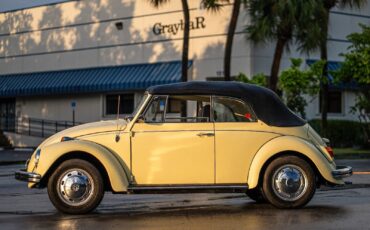 Volkswagen-Beetle-Classic-1969-13