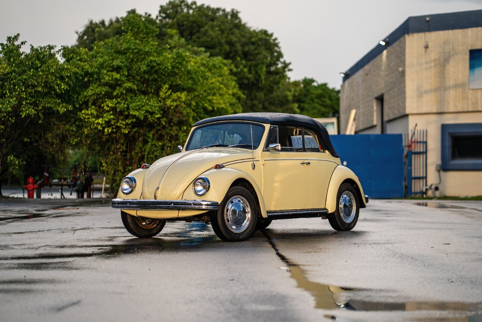 Volkswagen Beetle - Classic 1969