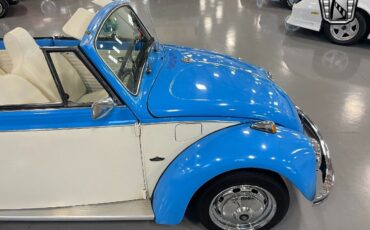 Volkswagen-Beetle-Classic-1970-7