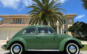 Volkswagen-Beetle-Classic-1971-1