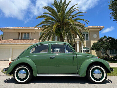 Volkswagen-Beetle-Classic-1971-1