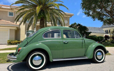 Volkswagen-Beetle-Classic-1971-2