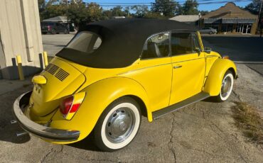 Volkswagen-Beetle-Classic-1971-2