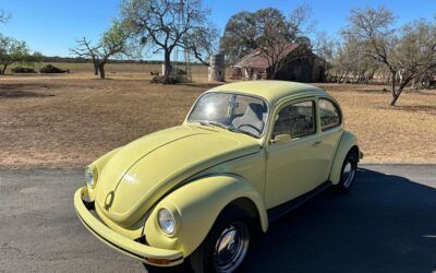 Volkswagen Beetle – Classic 1971