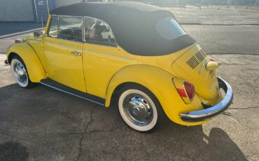 Volkswagen-Beetle-Classic-1971-3