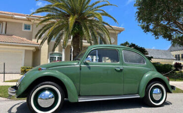 Volkswagen-Beetle-Classic-1971-7