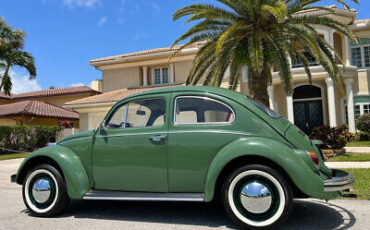 Volkswagen-Beetle-Classic-1971-8