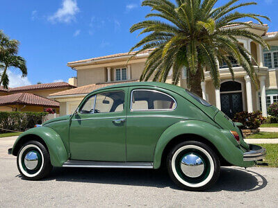 Volkswagen-Beetle-Classic-1971-8