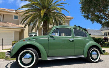 Volkswagen-Beetle-Classic-1971-9