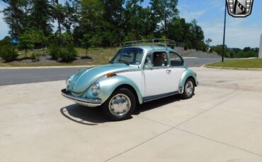 Volkswagen-Beetle-Classic-1973-2