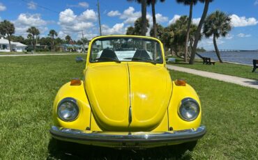 Volkswagen-Beetle-Classic-1973-2