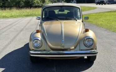 Volkswagen-Beetle-Classic-1974-1