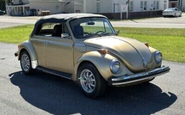 Volkswagen-Beetle-Classic-1974-2