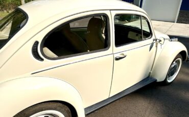 Volkswagen-Beetle-Classic-1974-29