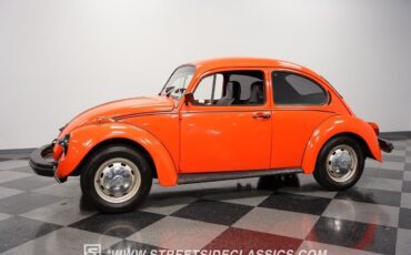 Volkswagen-Beetle-Classic-1974-6