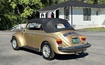 Volkswagen-Beetle-Classic-1974-6