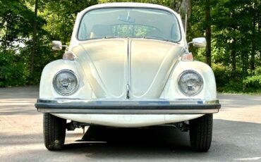 Volkswagen-Beetle-Classic-1974-6