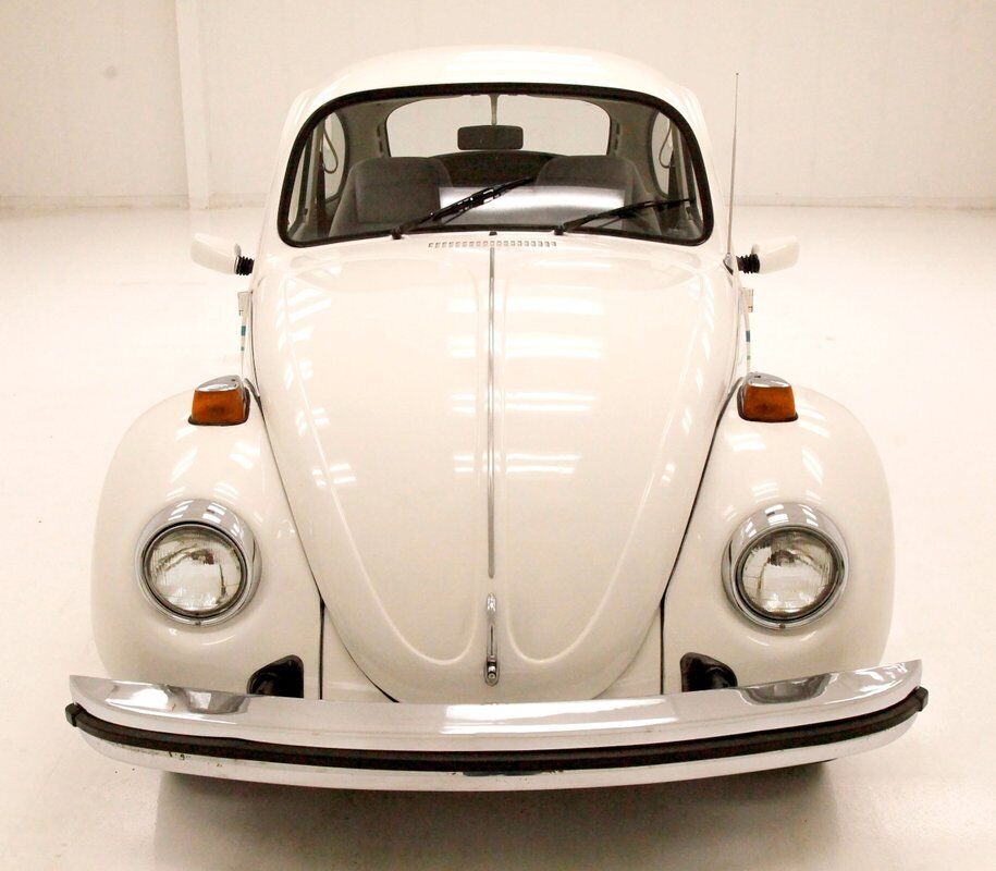 Volkswagen-Beetle-Classic-1974-7