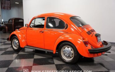 Volkswagen-Beetle-Classic-1974-8