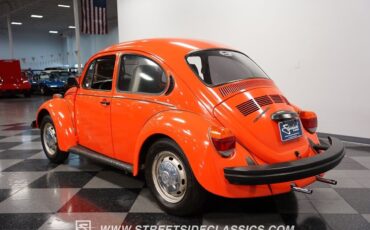 Volkswagen-Beetle-Classic-1974-9