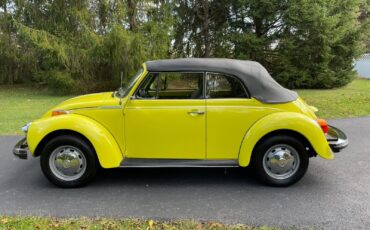 Volkswagen-Beetle-Classic-1975-1