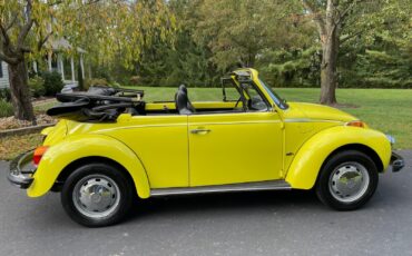 Volkswagen-Beetle-Classic-1975-14