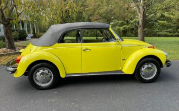 Volkswagen-Beetle-Classic-1975-15