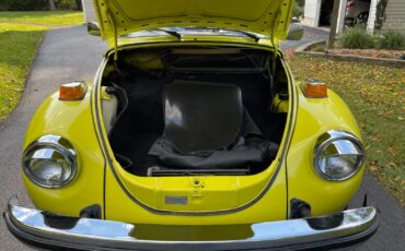 Volkswagen-Beetle-Classic-1975-3