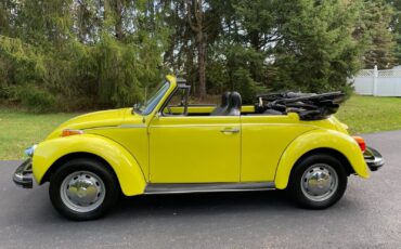 Volkswagen Beetle - Classic  year1}