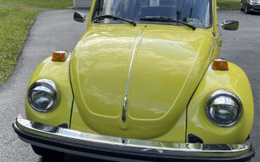 Volkswagen-Beetle-Classic-1975-4