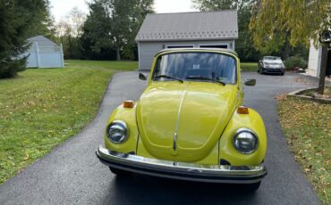 Volkswagen-Beetle-Classic-1975-5