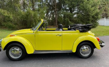 Volkswagen-Beetle-Classic-1975-9