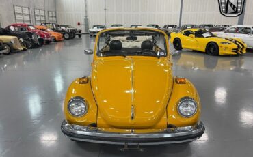 Volkswagen-Beetle-Classic-1978-2