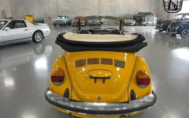 Volkswagen-Beetle-Classic-1978-4