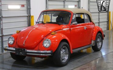 Volkswagen-Beetle-Classic-1979-2