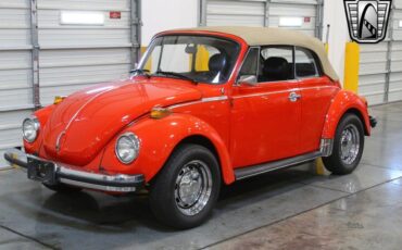 Volkswagen-Beetle-Classic-1979-4