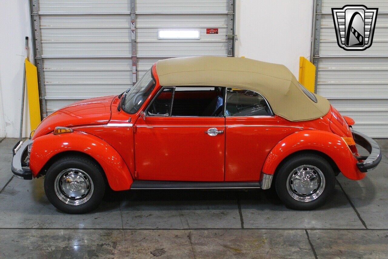 Volkswagen-Beetle-Classic-1979-6