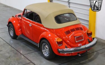 Volkswagen-Beetle-Classic-1979-7